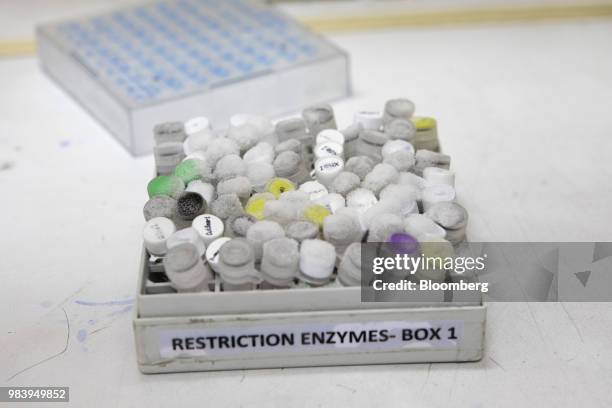 Vials of restriction enzymes sit in a box at a GangaGen Inc. Laboratory in Bengaluru, India, on Wednesday, May 30, 2018. The rapid spread of...