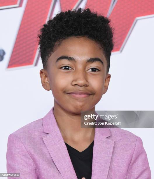 Miles Brown attends the premiere of Disney And Marvel's "Ant-Man And The Wasp" at the El Capitan Theater on June 25, 2018 in Hollywood, California.