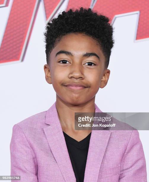 Miles Brown attends the premiere of Disney And Marvel's "Ant-Man And The Wasp" at the El Capitan Theater on June 25, 2018 in Hollywood, California.