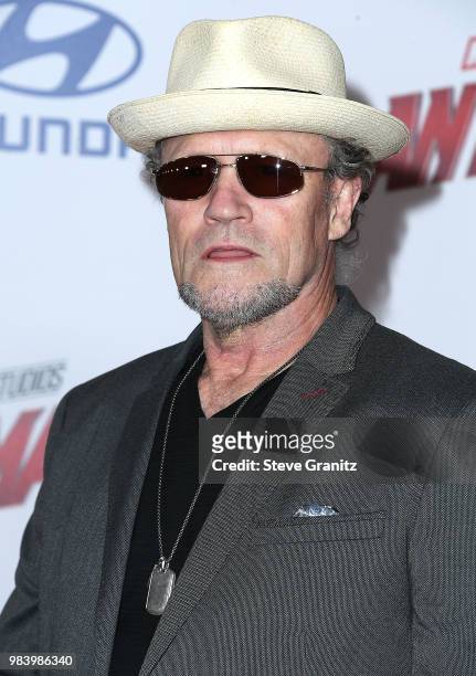 Michael Rooker arrives at the Premiere Of Disney And Marvel's "Ant-Man And The Wasp" on June 25, 2018 in Hollywood, California.