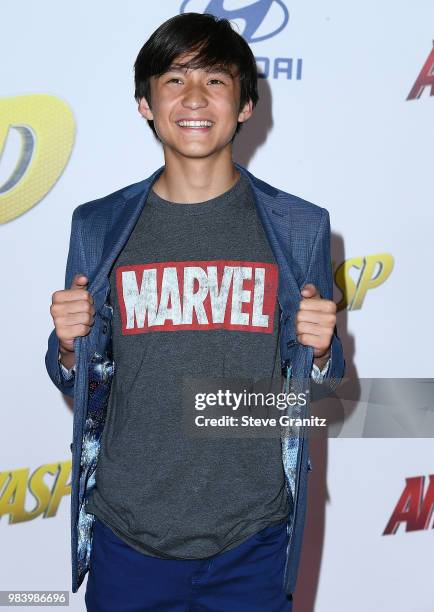 Forrest Wheeler arrives at the Premiere Of Disney And Marvel's "Ant-Man And The Wasp" on June 25, 2018 in Hollywood, California.