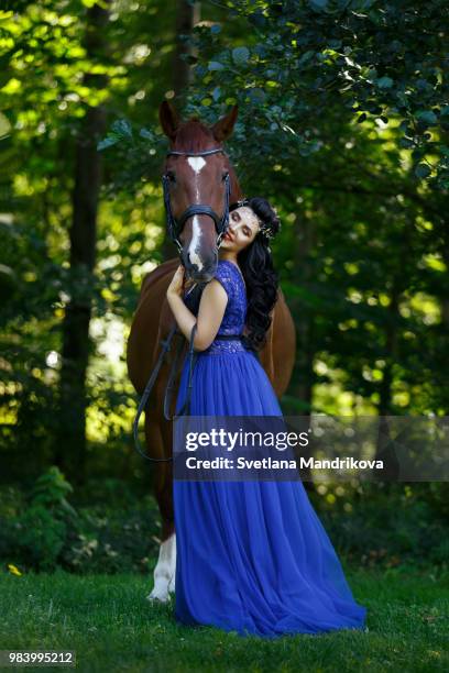 beautiful girl in dress with horse - lip plate stock pictures, royalty-free photos & images