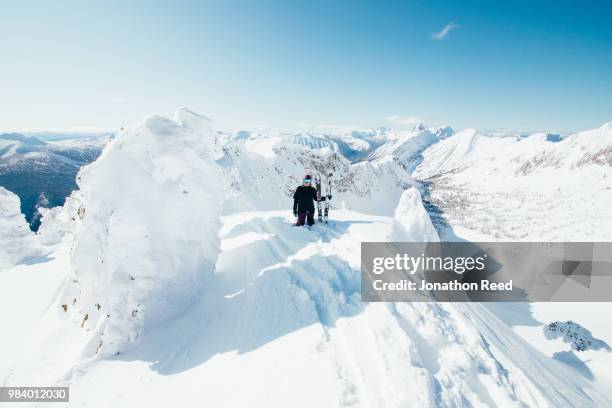 fernie, bc - fernie bc stock pictures, royalty-free photos & images