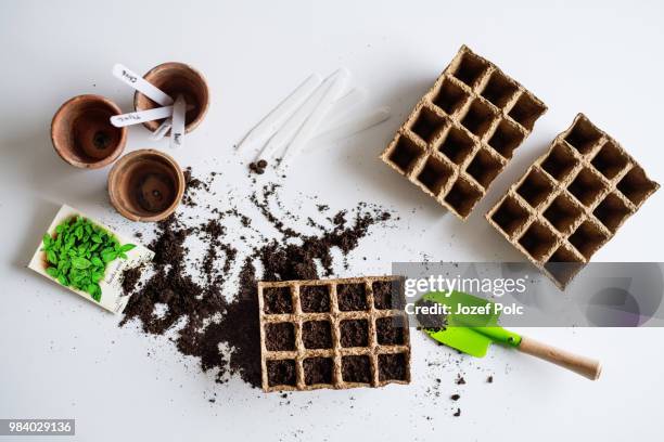 Spring Seeds Spring Planting Seeds Photos and Premium High Res Pictures - Getty Images