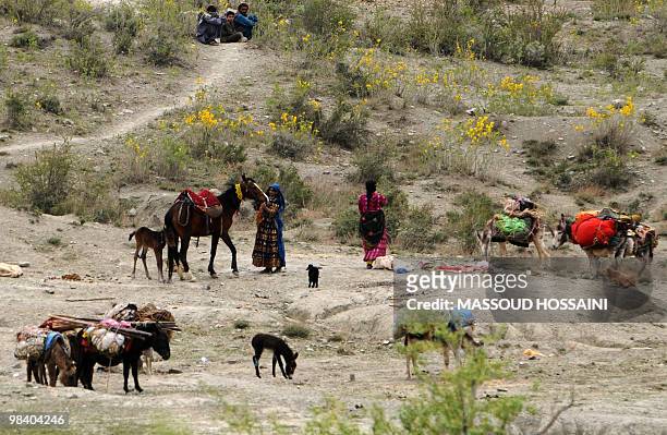 Afghan nomad families tend to their horses and donkeys near Ibrahim Khel village of Khost province on April 11, 2010. The United States and NATO...