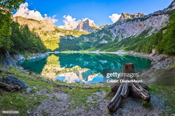 gosausee mit dachstein - alpen - dieter meyrl stock-fotos und bilder