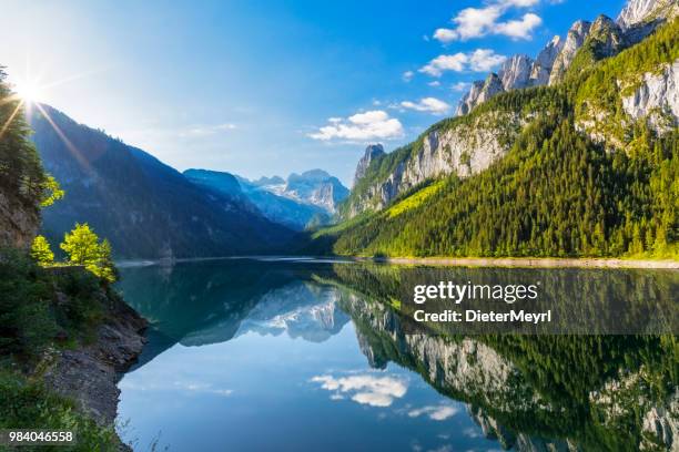 gosausee mit dachstein - alpen - dieter meyrl stock-fotos und bilder