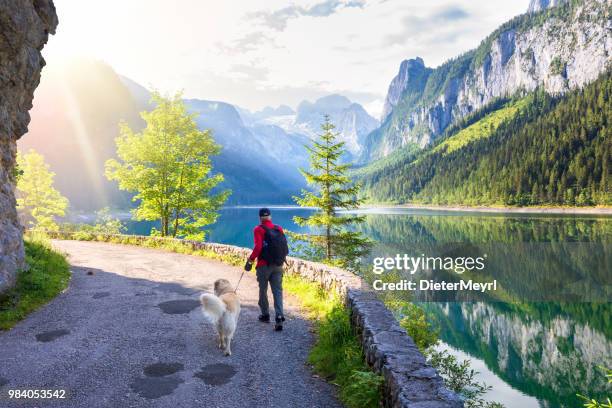 aktive senioren und hund am gosausee mit dachstein - alpen - dieter meyrl stock-fotos und bilder