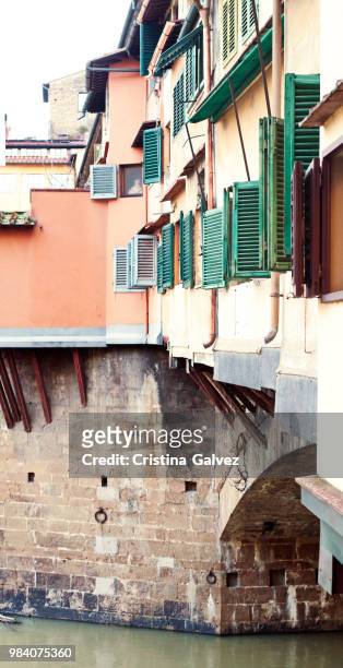 florence,italy - florence_italy stock pictures, royalty-free photos & images
