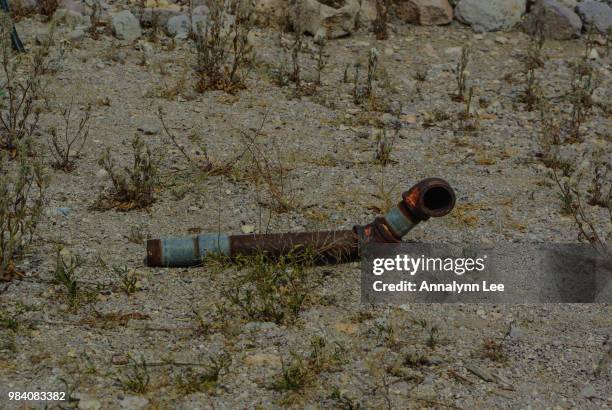 Rusty Lee Rusty Lee Photos and Premium High Res Pictures - Getty Images