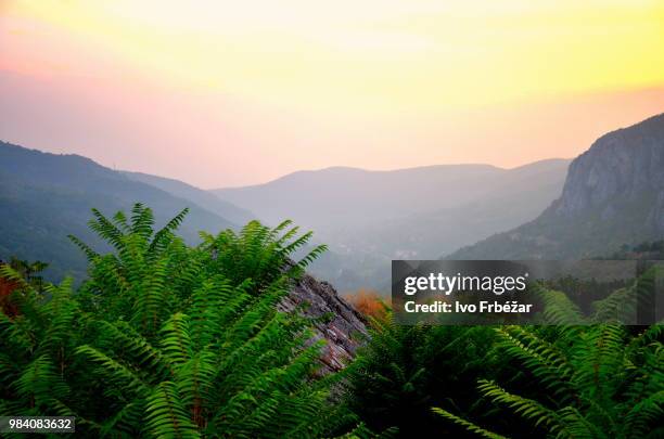 niška banja,serbia - banja stock pictures, royalty-free photos & images