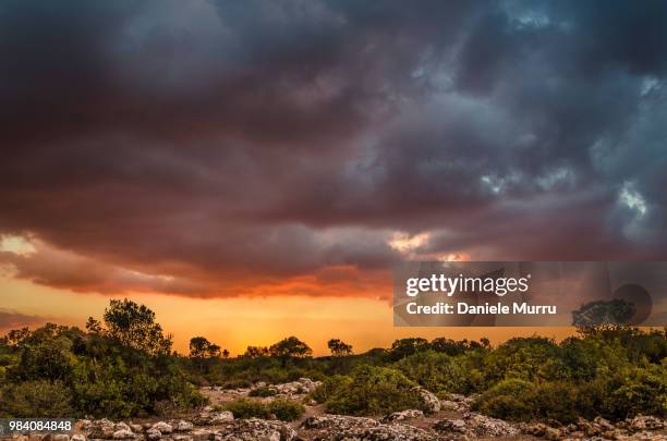 plateau of the jara - nature reserve. - jara stock pictures, royalty-free photos & images