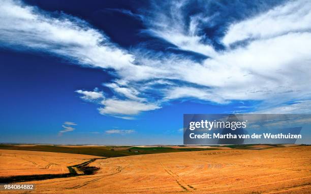 overberg - overberg stock pictures, royalty-free photos & images