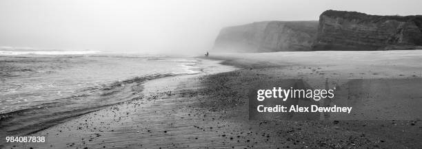 pescadero - pescadero stock pictures, royalty-free photos & images