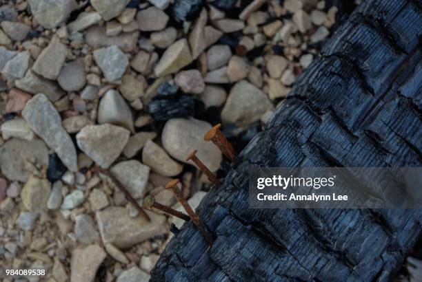 Rusty Lee Rusty Lee Photos and Premium High Res Pictures - Getty Images