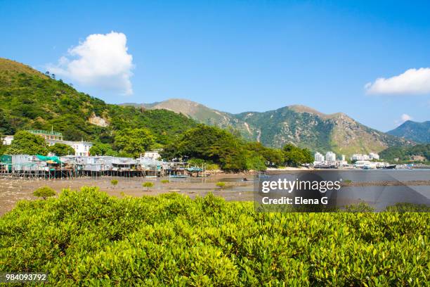 tai o fishing village buildings on stilts - tai o imagens e fotografias de stock