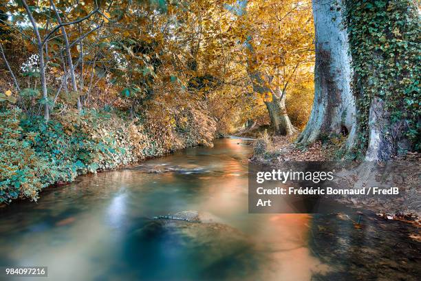 petit chemin by fredb art - chemin foto e immagini stock