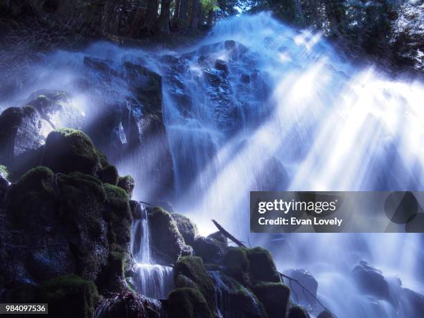 ramona falls - mt hood national forest fotografías e imágenes de stock