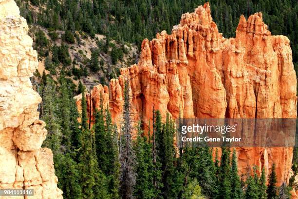 rock formations in bryce canyon national park, utah. - rock hoodoo stockfoto's en -beelden