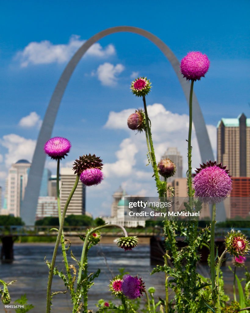 Arch & Thistles