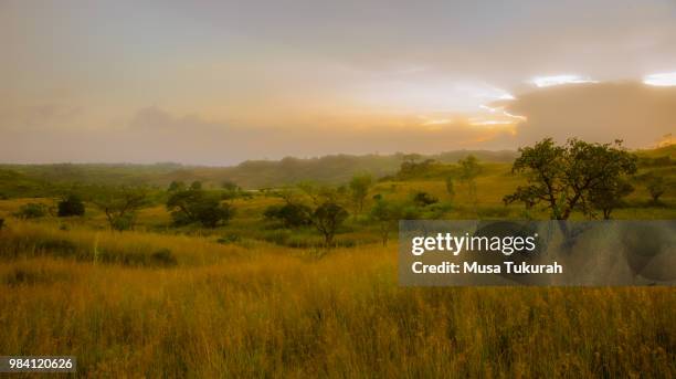 dreamland - ナイジェリア ストックフォトと画像