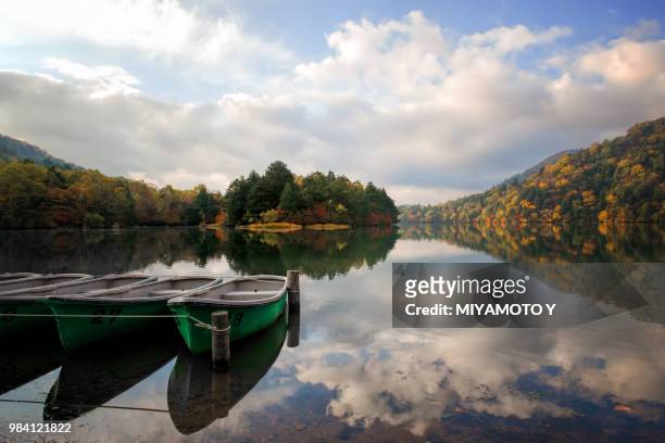 lake in autumn - miyamoto y stock pictures, royalty-free photos & images