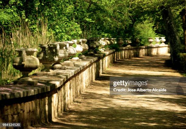 caminando entre sombras - sombras stock pictures, royalty-free photos & images