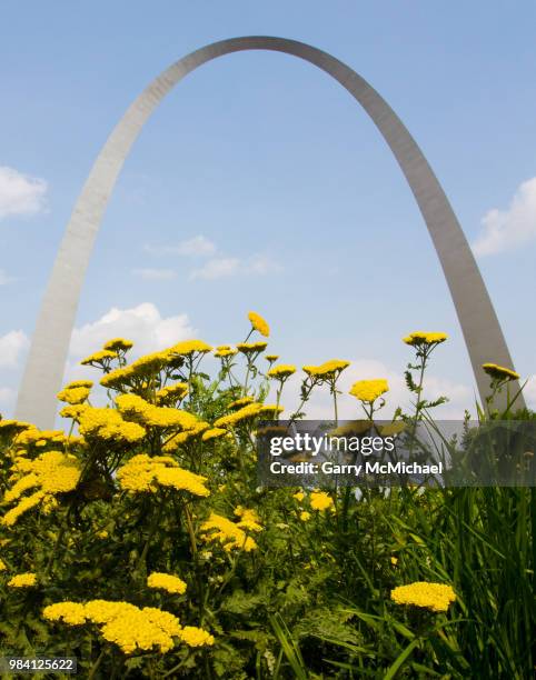 stl arch - gateway arch stock pictures, royalty-free photos & images