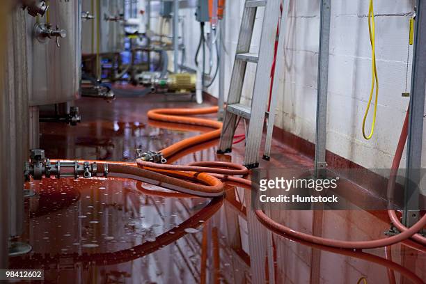 overflown beer on the floor in a brewery - industrial hose stockfoto's en -beelden