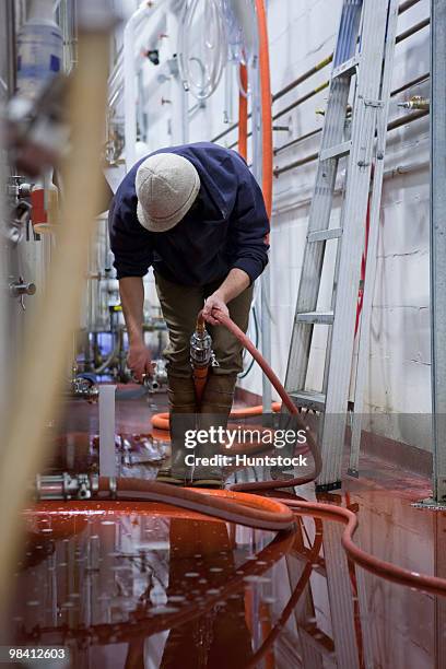 brewer working in a brewery - bent ladder stock pictures, royalty-free photos & images