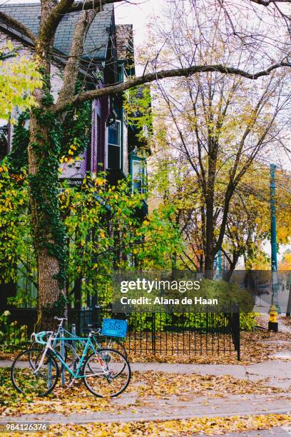autumn in toronto - haan stock pictures, royalty-free photos & images