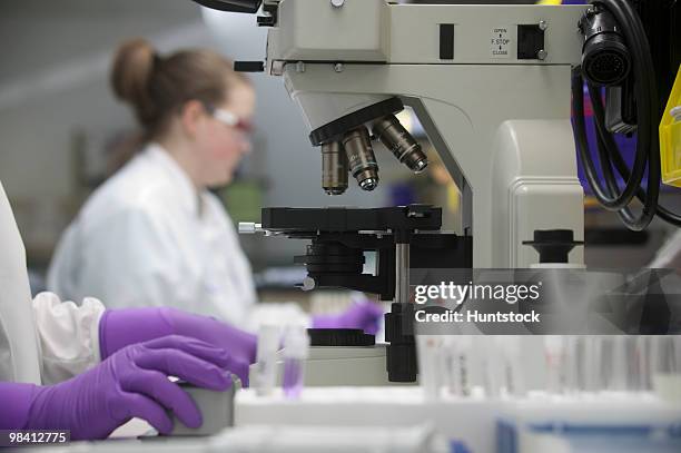 scientist analyzing stem cell sample in a laboratory - purple glove stock-fotos und bilder