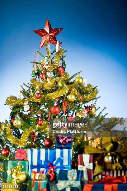 christmas tree with a star on the top. - plattform stock pictures, royalty-free photos & images