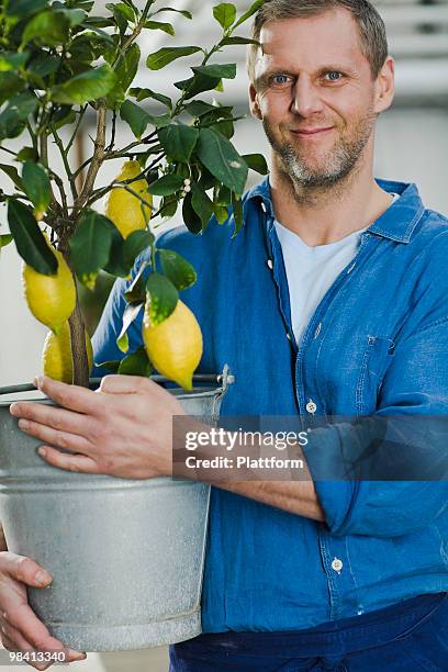 man with a lemon tree. - plattform stock pictures, royalty-free photos & images