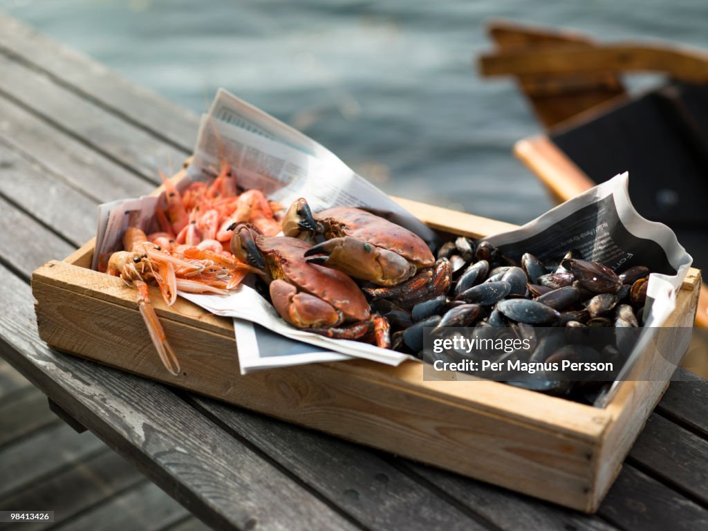 Clams crabs and shrimps in a box Blekinge Sweden.