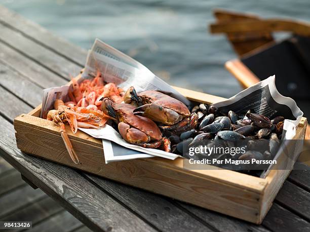 clams crabs and shrimps in a box blekinge sweden. - crustacean stockfoto's en -beelden