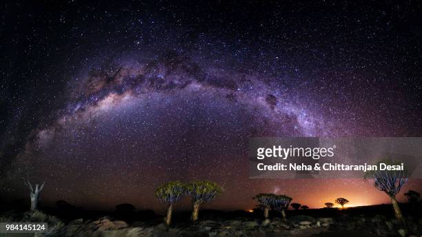 milky way aglow over quiver tree forest, namibia - namibia sternenhimmel stock-fotos und bilder