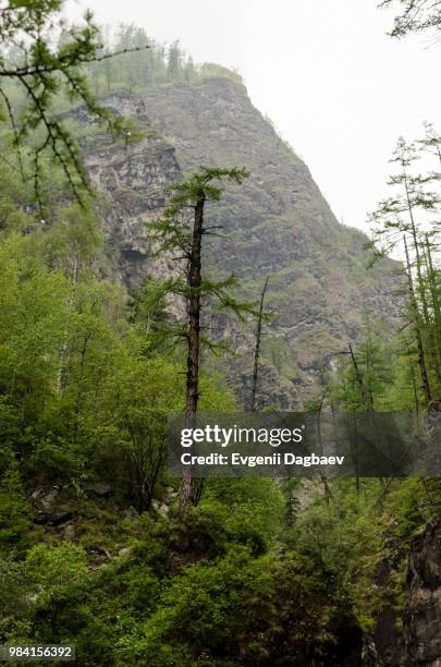 istock - istock stock-fotos und bilder