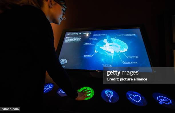 June 2018, Muenster, Germany: An interactive monitor at the exhibition opening of "Das Gehirn - Intelligenz, Bewusstsein, Gefühl" at the LWL Museum...