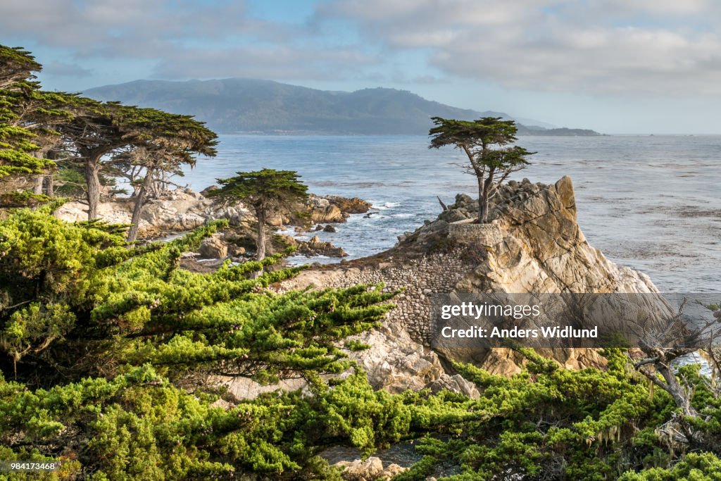 A coastal landscape in California, USA.