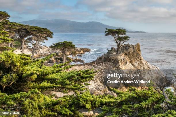 a coastal landscape in california, usa. - cidade de monterey califórnia - fotografias e filmes do acervo