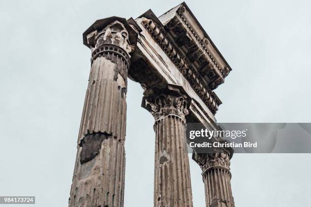 rome roman column - ancient architecture stock pictures, royalty-free photos & images