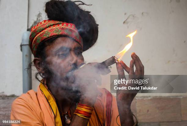 hindu monk smoking marijuana - david talukdar fotografías e imágenes de stock