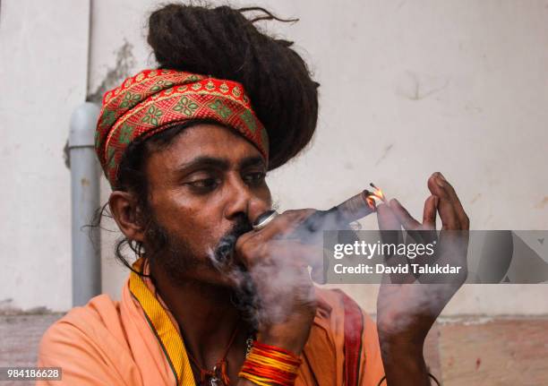 hindu monk smoking marijuana - david talukdar fotografías e imágenes de stock