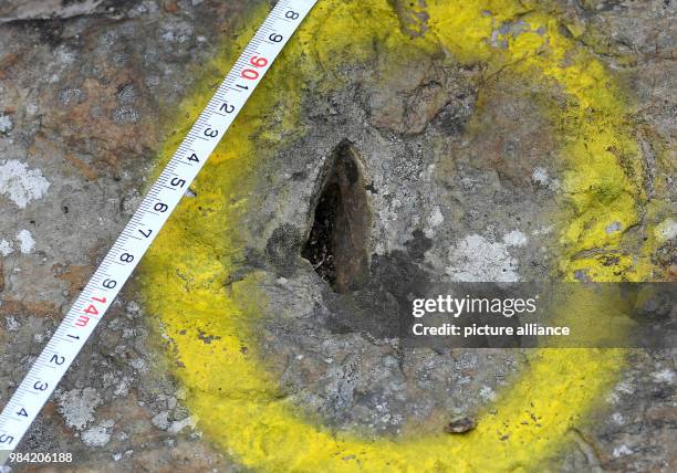 June 2018, Rehburg-Loccum, Germany: The 140 million year old imprint of a tortoise armor plate can be seen inside a sand stone layer at the dinosaur...