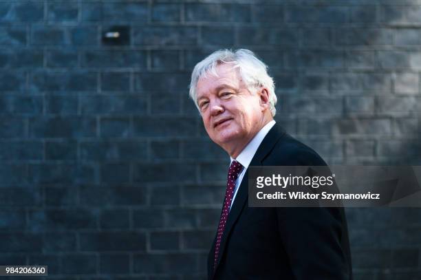 Secretary of State for Exiting the European Union David Davis arrives for a weekly cabinet meeting at 10 Downing Street in central London. June 26,...