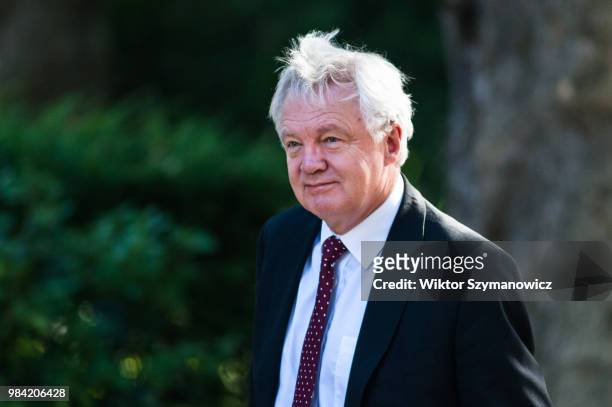 Secretary of State for Exiting the European Union David Davis arrives for a weekly cabinet meeting at 10 Downing Street in central London. June 26,...