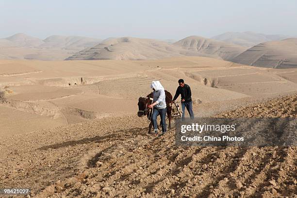 Farm couple sows seeds in a field on March 12, 2010 in Xihaigu, Tongxin County of Ningxia Hui Autonomous Region, north China. Xihaigu is the general...