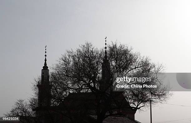Mosque is seen in a village on March 12, 2010 in Xihaigu, Tongxin County of Ningxia Hui Autonomous Region, north China. Xihaigu is the general name...