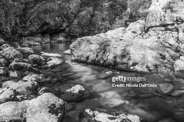 the river - nickola beck stock pictures, royalty-free photos & images